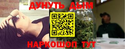 трава Новодвинск